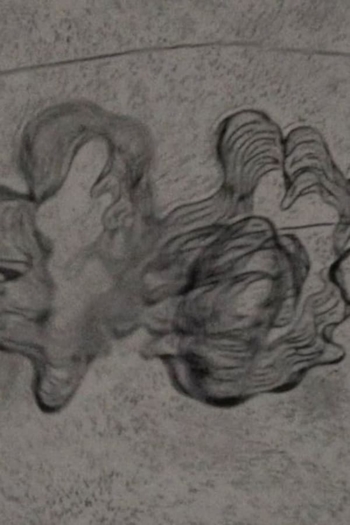 In a Mere Metamorphosis