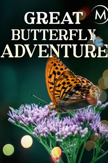 The Great Butterfly Adventure: Africa to Britain with the Painted Lady