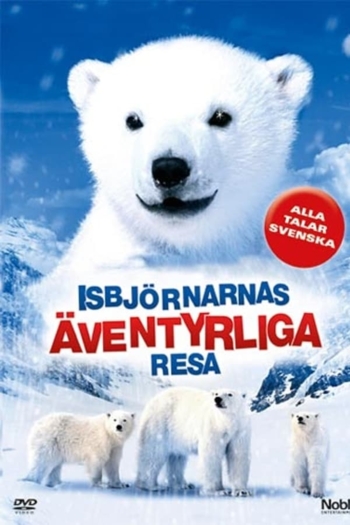 The Great Polar Bear Adventure