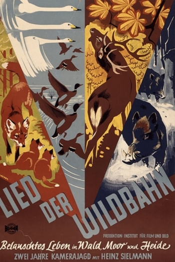 Lied der Wildbahn