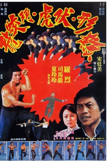 Secret of Chinese Kung Fu