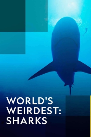 World's Weirdest: Sharks