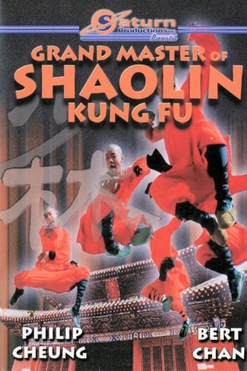 The Divine Martial Arts Of Dharma