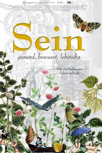 Sein