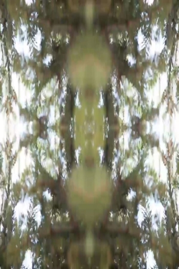 Zuhaitza [2016 Nagore Etxabe]