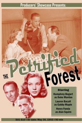 The Petrified Forest