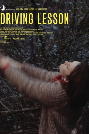 Driving Lesson