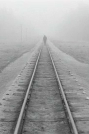 A Trip Across Misty Meadows