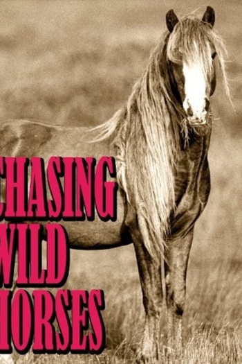 Chasing Wild Horses