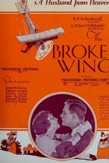 The Broken Wing