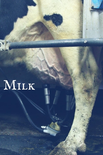 Milk