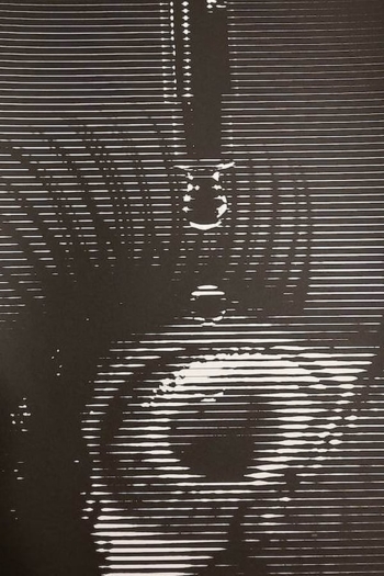 Nine Inch Nails: Live - Cold and Black and Infinite