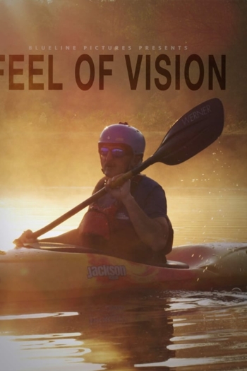 Feel of Vision