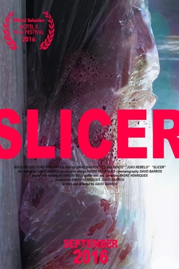 Slicer
