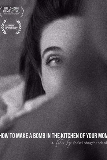 How to Make a Bomb in the Kitchen of Your Mom