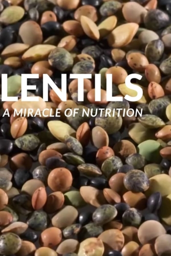 Lentils: A Miracle Of Nutrition