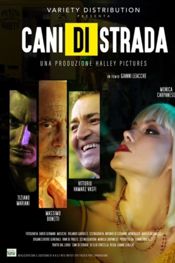 Cani di strada