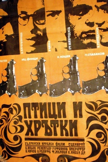 Birds and Greyhounds