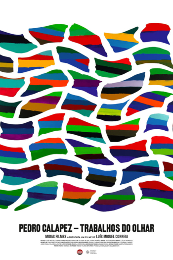 Pedro Calapez: Trabalhos do Olhar