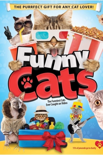Funny Cats