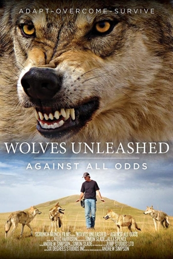 Wolves Unleashed: Against All Odds