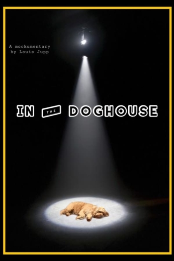 In The Doghouse