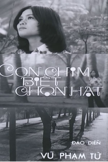 Con Chim Biết Chọn Hạt