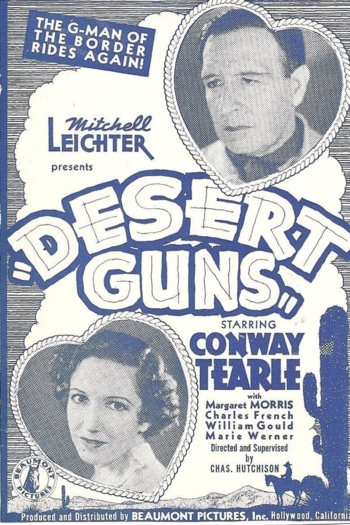 Desert Guns