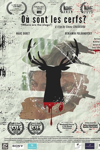 Où sont les Cerfs ?
