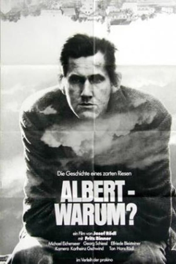 Albert - warum?