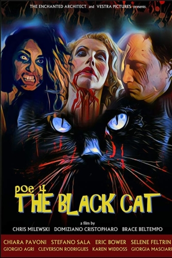 POE 4: The Black Cat