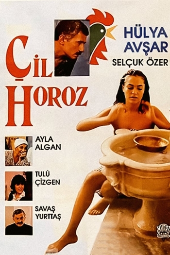 Çil Horoz