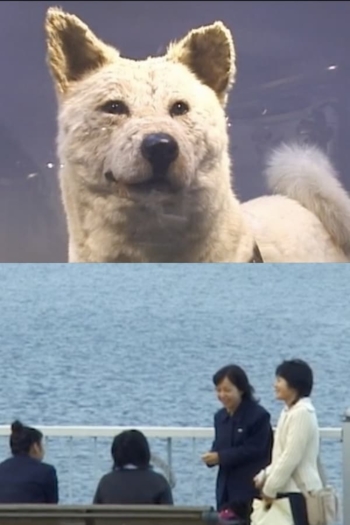 I have no memory of my direction