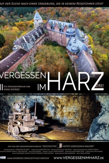Vergessen im Harz 3