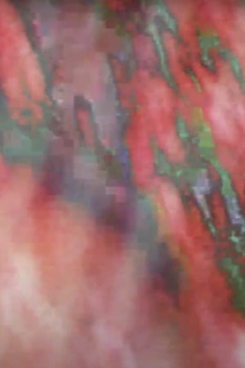 baktiotha invocation