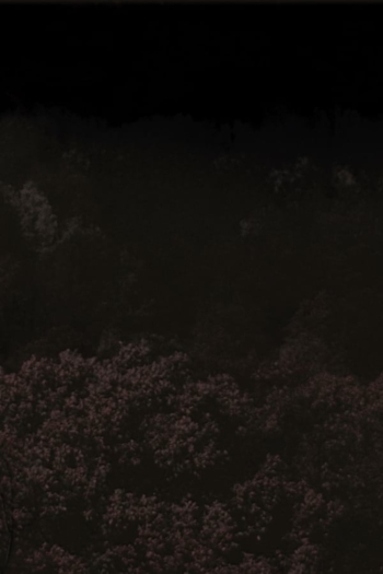 Six Variations on the Same Theme: Sixth Variation