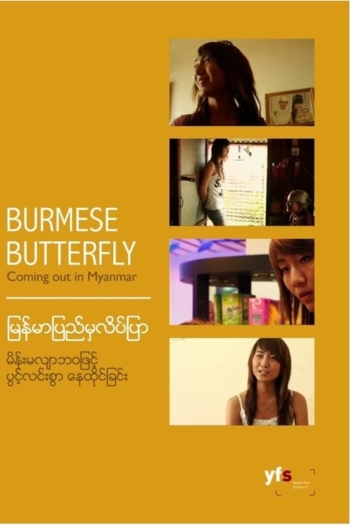Burmese Butterfly