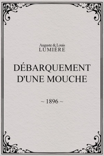 Lyon : débarquement d'une mouche