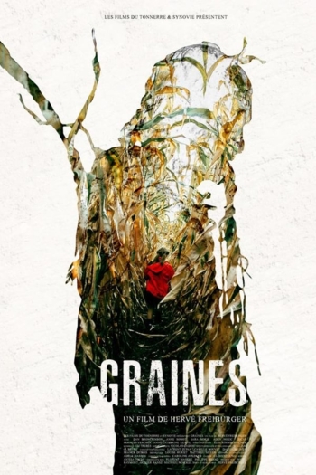 Graines