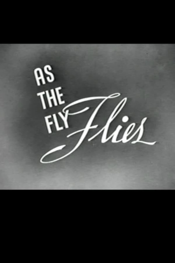 As the Fly Flies