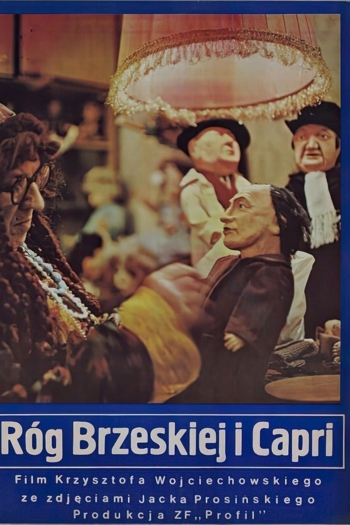 Róg Brzeskiej i Capri