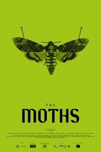The Moths