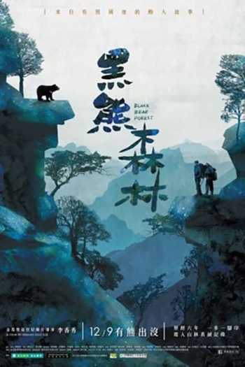 Black Bear Forest