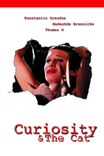 Curiosity & the Cat