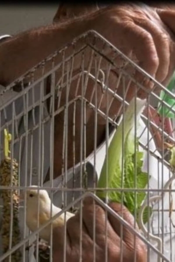 9+1 Moments of Loneliness