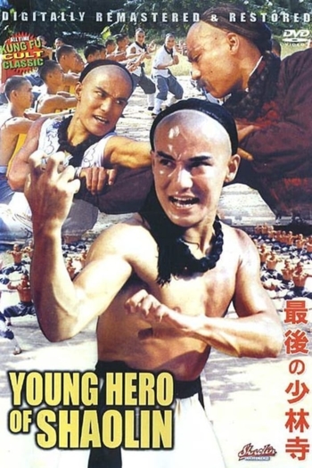 The Young Hero of Shaolin