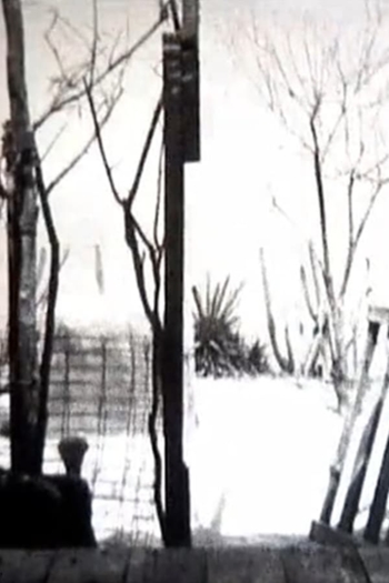 3’35” de Bonheur