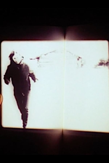 We Had the Experience but Missed the Meaning