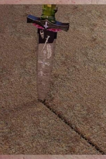 a body is a body is a body