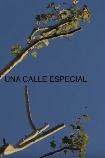 Una Calle Especial